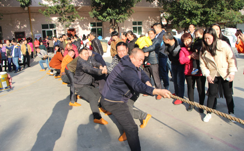 管家婆免费马资料